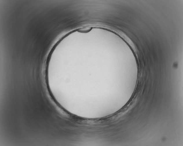 X0000116681005201001111328