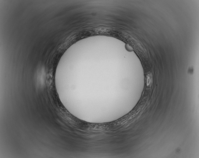 X0000116681011201001111327