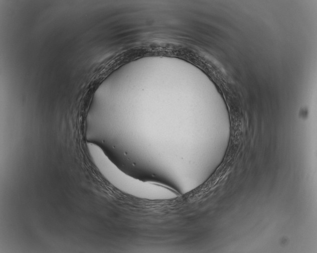 X0000116681013201001111327