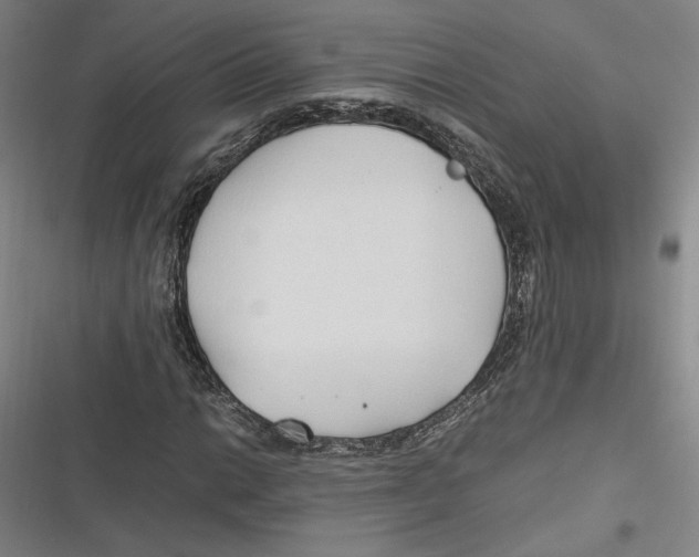 X0000116681014201001111327