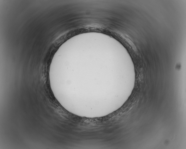 X0000116681015201001111327