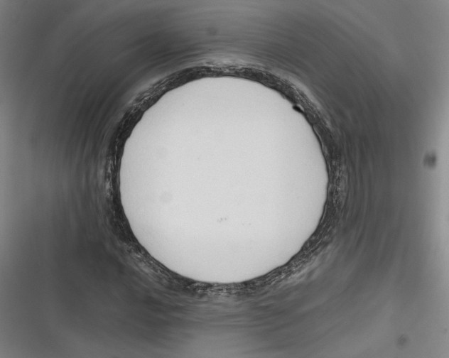 X0000116681016201001111327