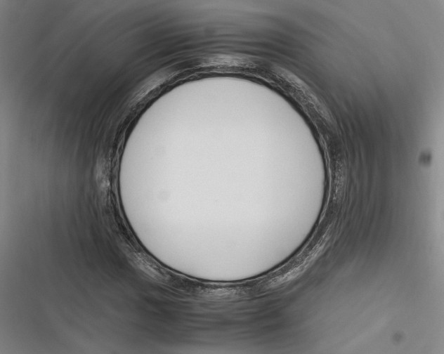 X0000116681017201001111327