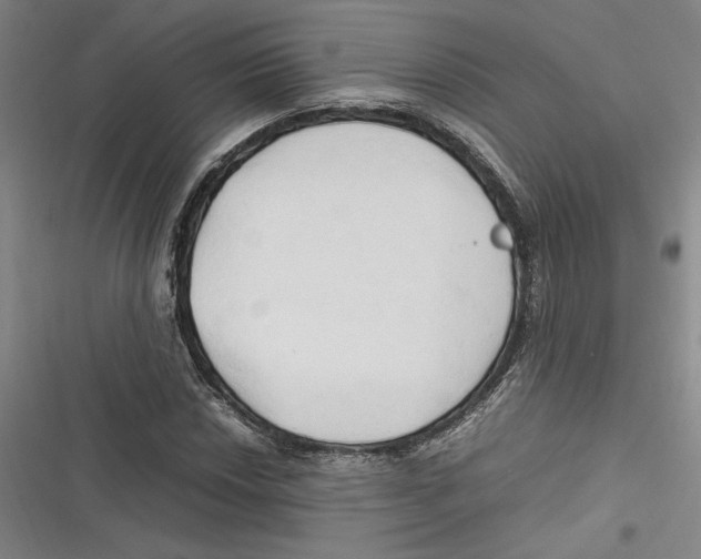 X0000116681018201001111327