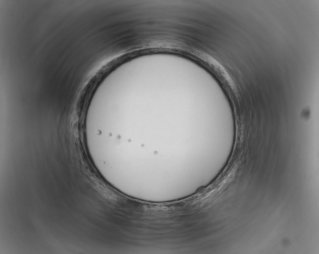 X0000116681019201001111327