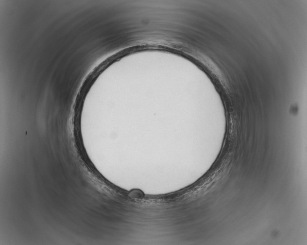 X0000116681020201001111327