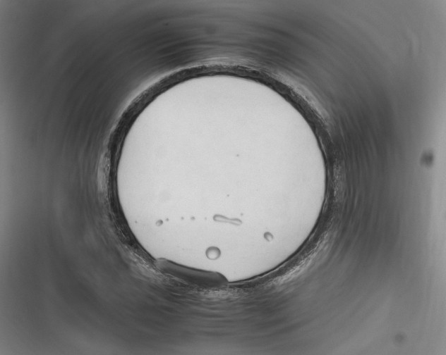 X0000116681021201001111327