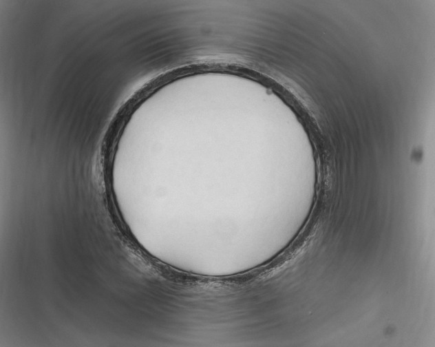 X0000116681022201001111327