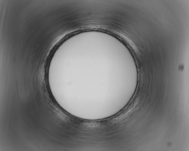 X0000116681023201001111327