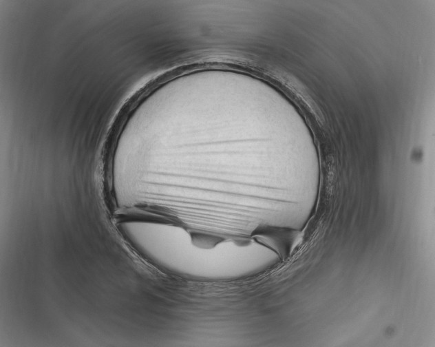 X0000116681024201001111327