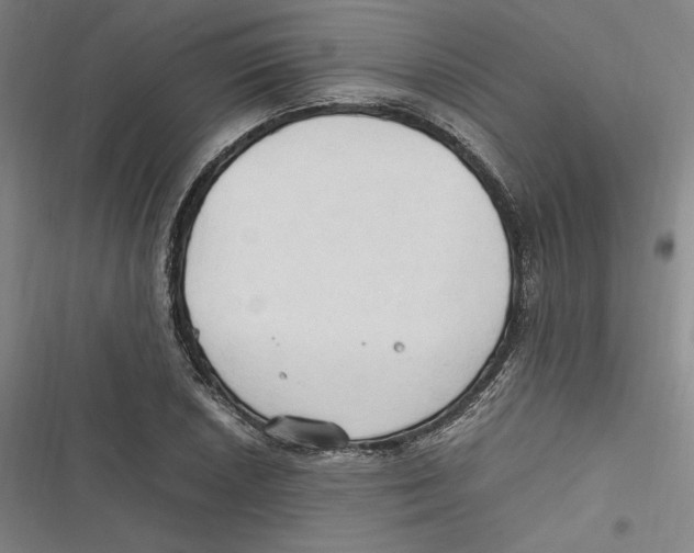 X0000116681026201001111327