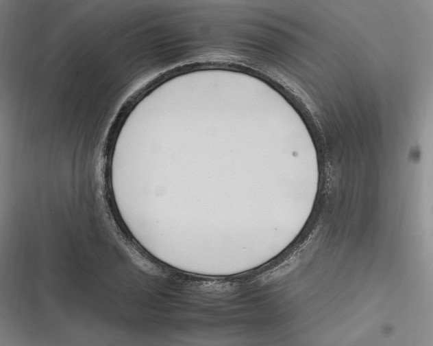 X0000116681029201001111327