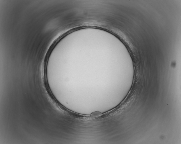 X0000116681032201001111327