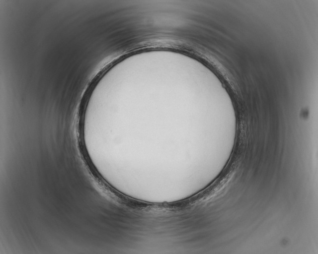 X0000116681034201001111327