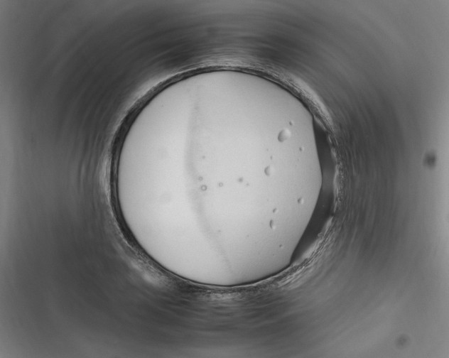 X0000116681035201001111327