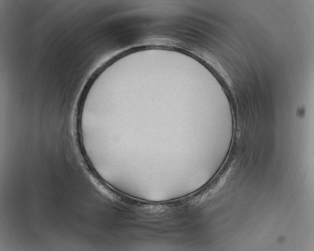 X0000116681037201001111327