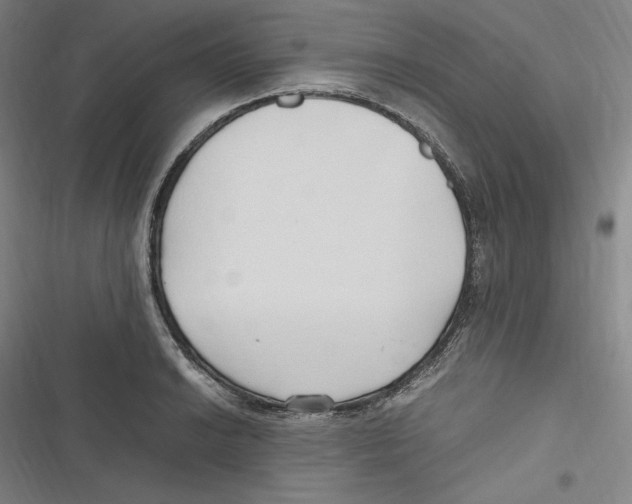 X0000116681038201001111327