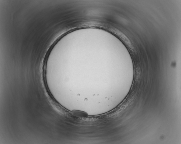 X0000116681039201001111327