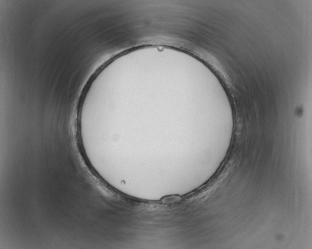 X0000116681040201001111327