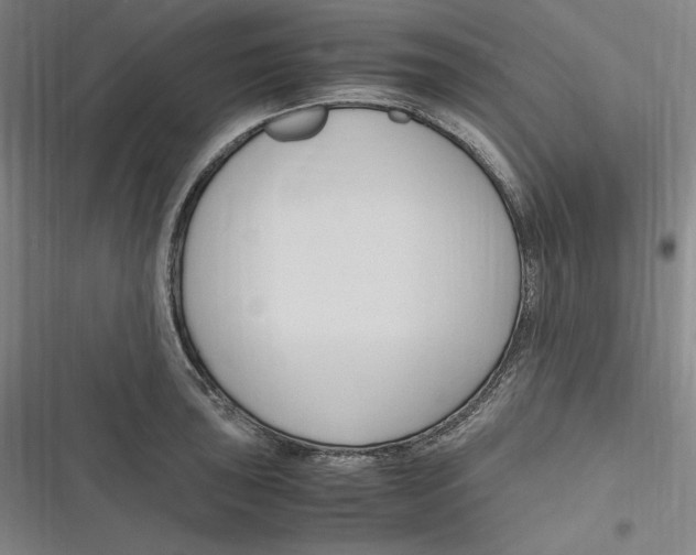 X0000116681043201001111327