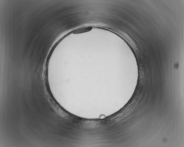 X0000116681044201001111327