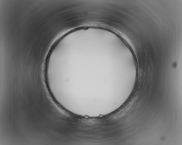 X0000116681045201001111328