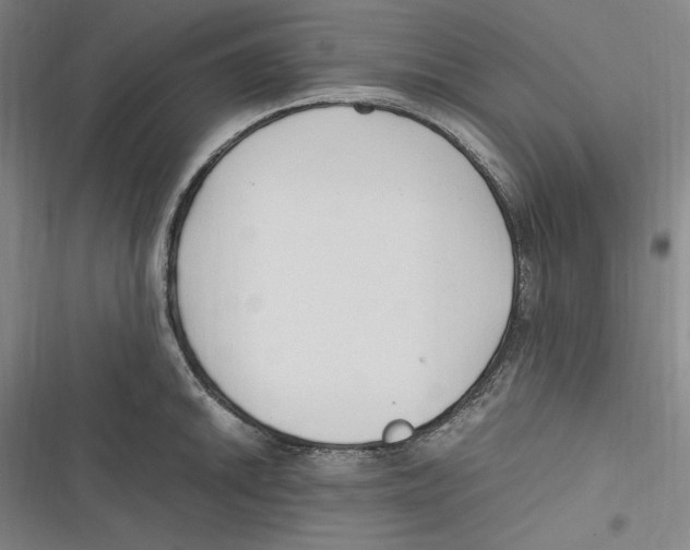 X0000116681046201001111328