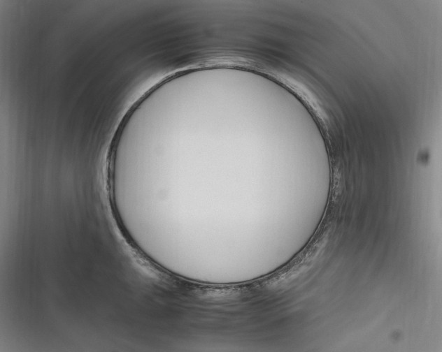 X0000116681047201001111328