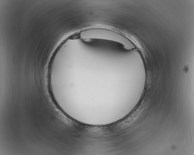 X0000116681048201001111328