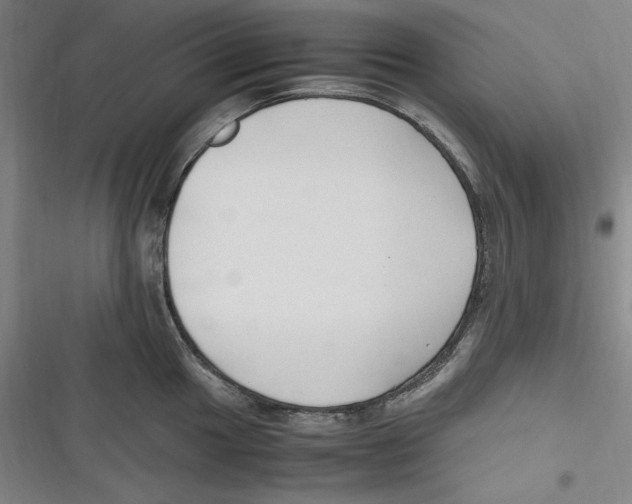 X0000116681049201001111328