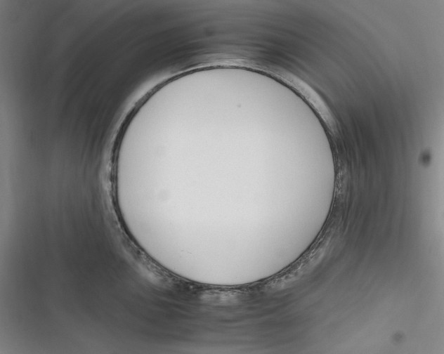 X0000116681051201001111328