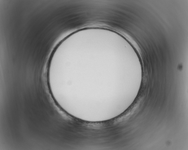 X0000116681053201001111328