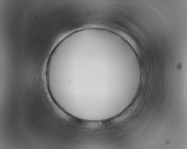 X0000116681055201001111328