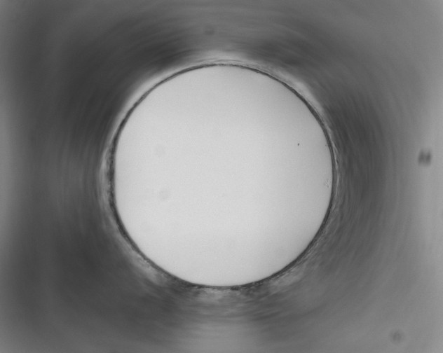 X0000116681056201001111328