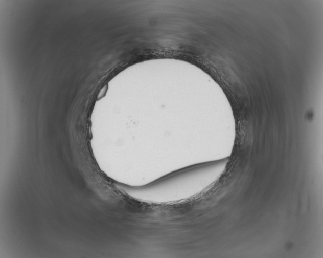 X0000116681057201001111327