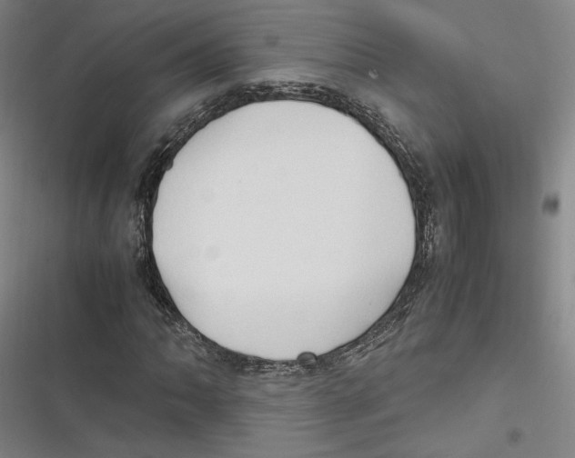 X0000116681062201001111327