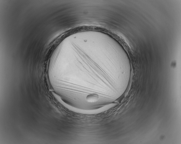 X0000116681064201001111327