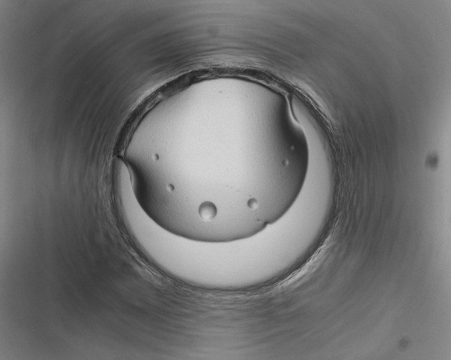 X0000116681065201001111327