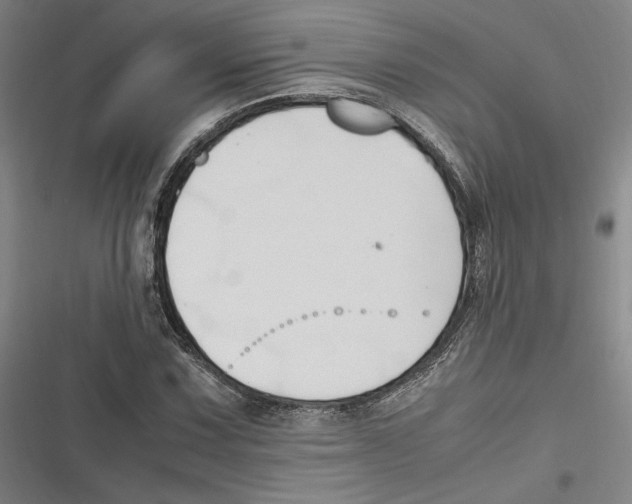 X0000116681067201001111327