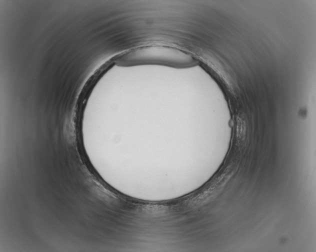 X0000116681068201001111327