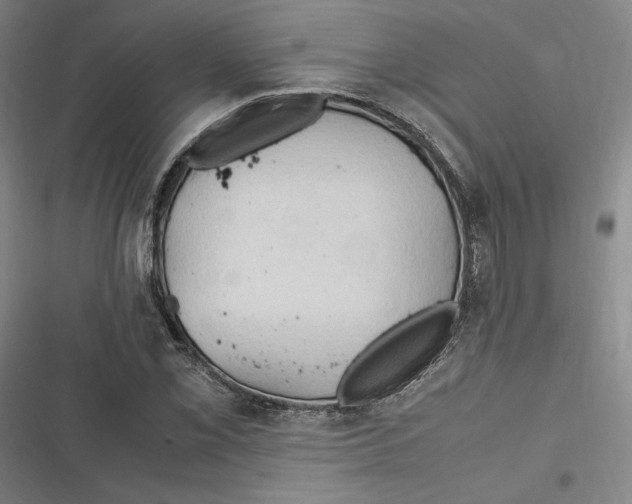 X0000116681069201001111327