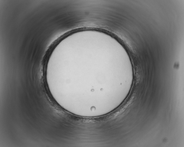 X0000116681070201001111327