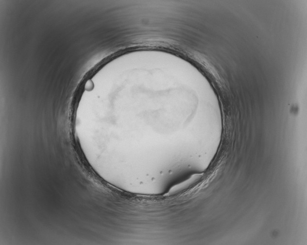 X0000116681071201001111327