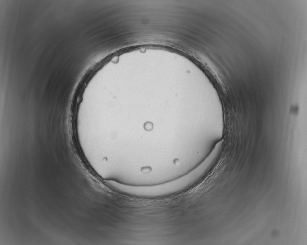 X0000116681072201001111327