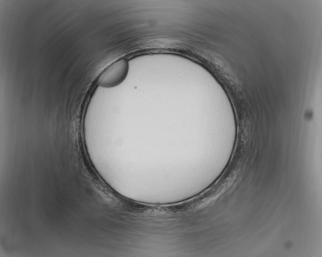 X0000116681073201001111327