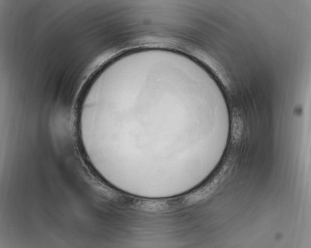 X0000116681074201001111327