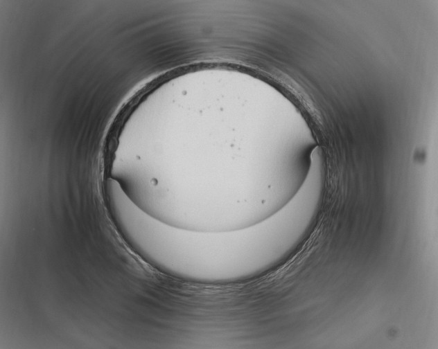 X0000116681076201001111327