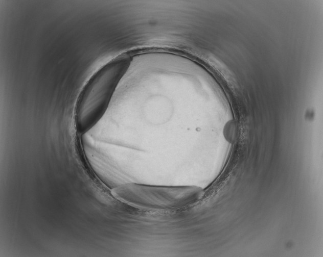 X0000116681077201001111327