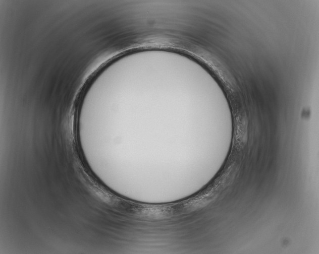 X0000116681078201001111327