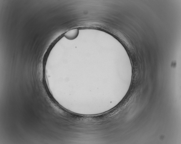 X0000116681079201001111327